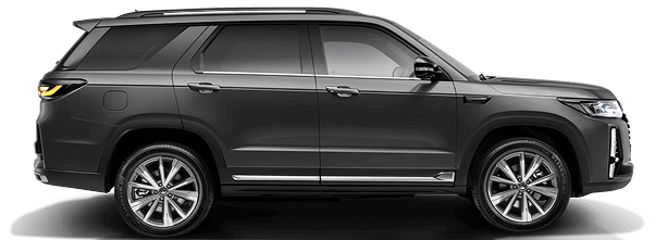 Си Эс 95 Стандарт